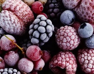 «Українська ягода» запустила цех з охолодження ягід